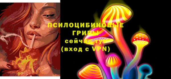альфа пвп Фёдоровский