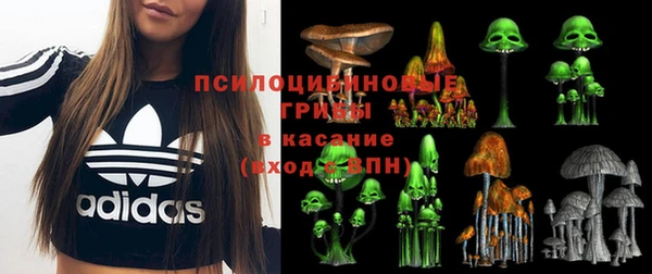 прущие крисы Лихославль