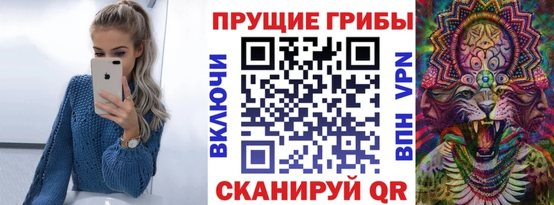 Псилоцибиновые грибы Psilocybe гидра рабочий сайт Чкаловск