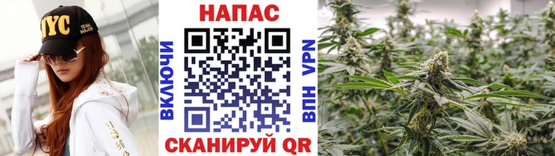 OMG ссылки Чкаловск Бошки Шишки Bruce Banner